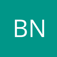 Bálint Németh